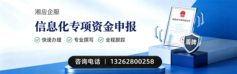 汉中信息化专项资金申报服务