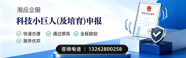 汉中科技小巨人及培育企业申报服务