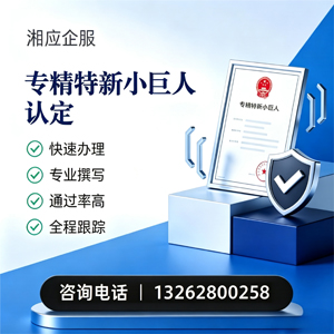 汉中专精特新小巨人申报服务
