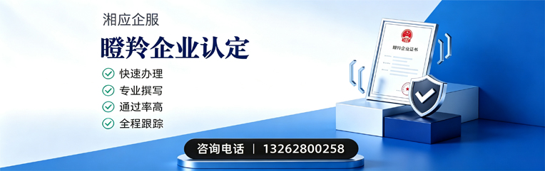 汉中瞪羚企业认定申报服务