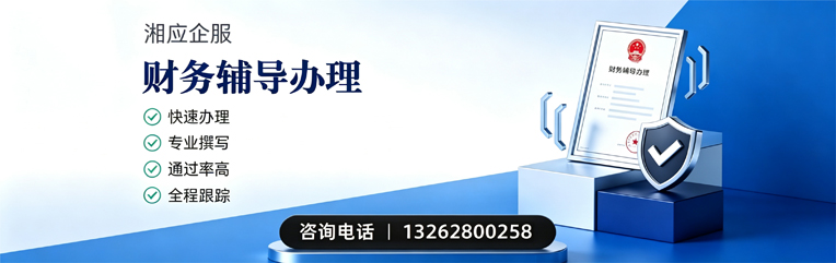汉中财务辅导申请服务
