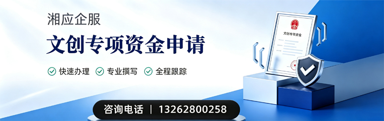 汉中文创专项资金申报服务