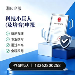 汉中科技小巨人及培育企业申报服务