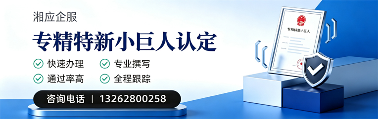 汉中专精特新小巨人申报服务